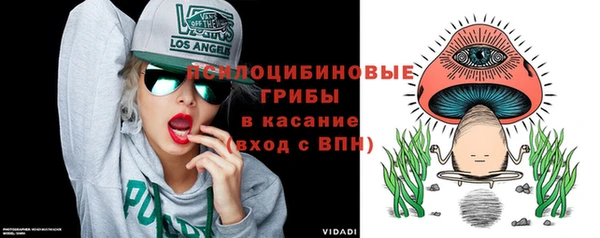 индика Киренск