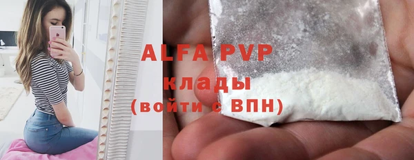 прущие грибы Кинешма