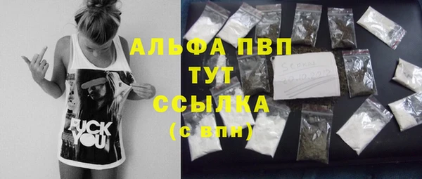 индика Киренск