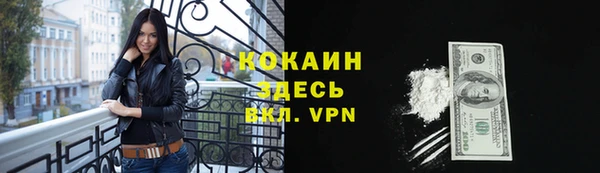 индика Киренск