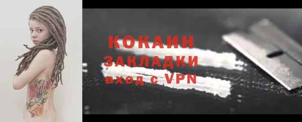 прущие грибы Кинешма